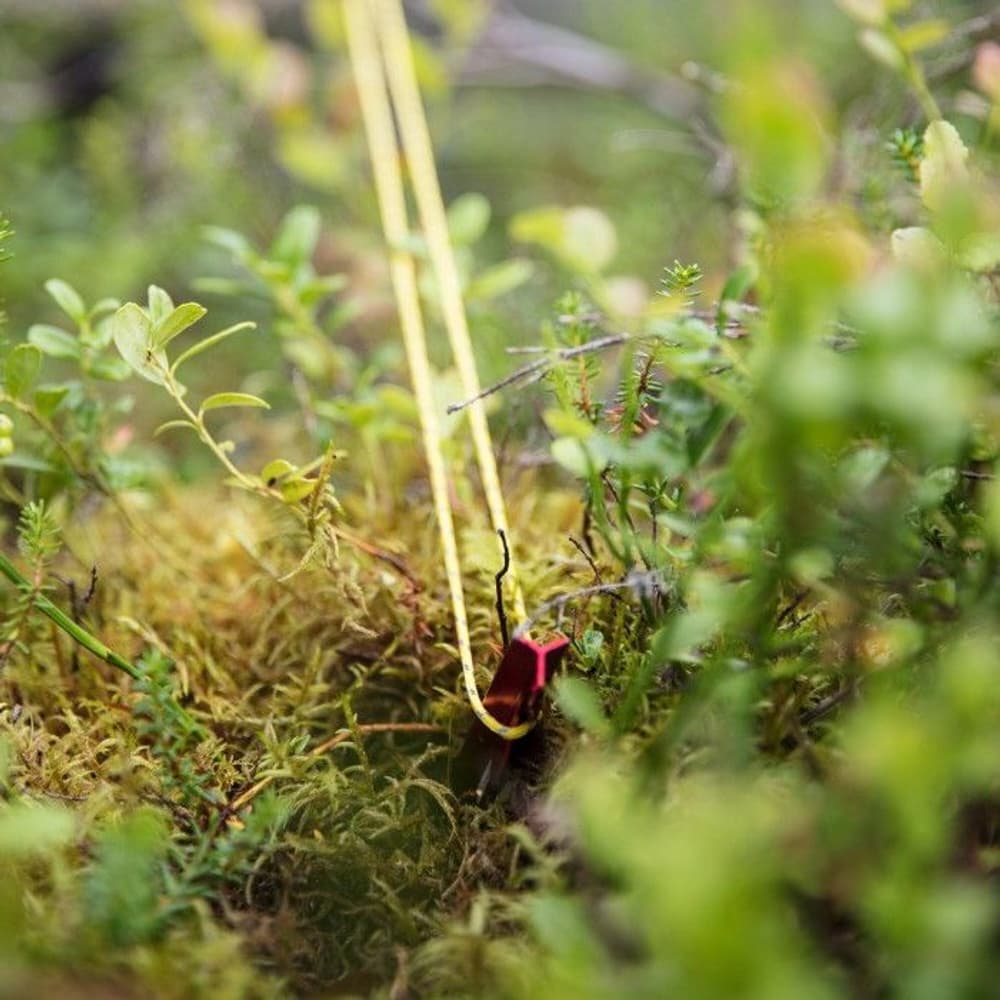 Pegs 15 cm 10 pcs, view: 2