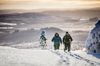 Leather Box Mitt Svart - view: 3