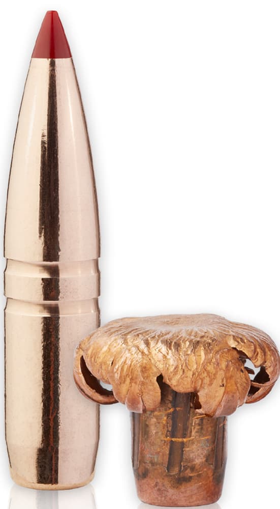 CX Bullets 7mm (.284) 150 gr 50/Box, view: 2