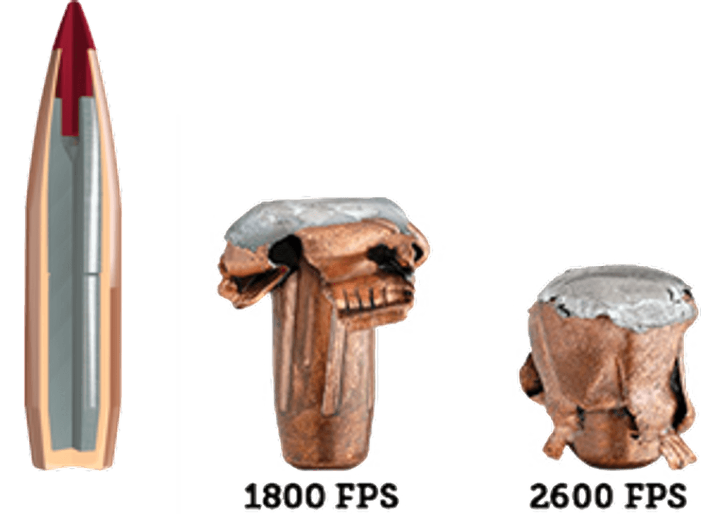 ELD-X Bullets 270 Cal (.277) 145 gr 100/Box, view: 3