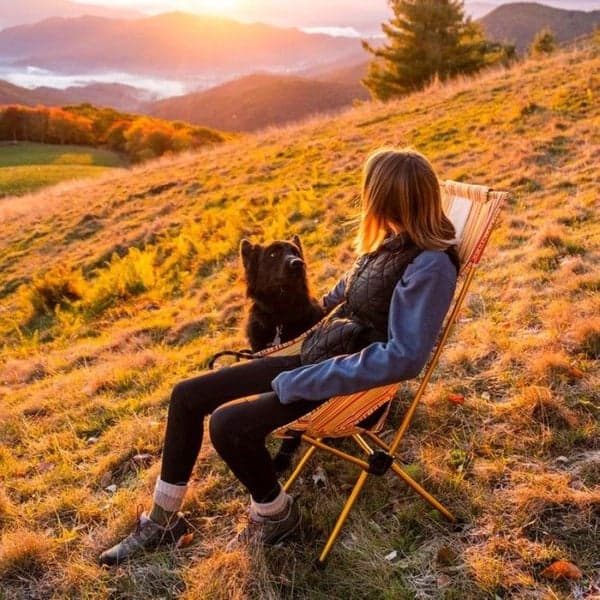 Sunset Chair Crimson/Silver, view: 2