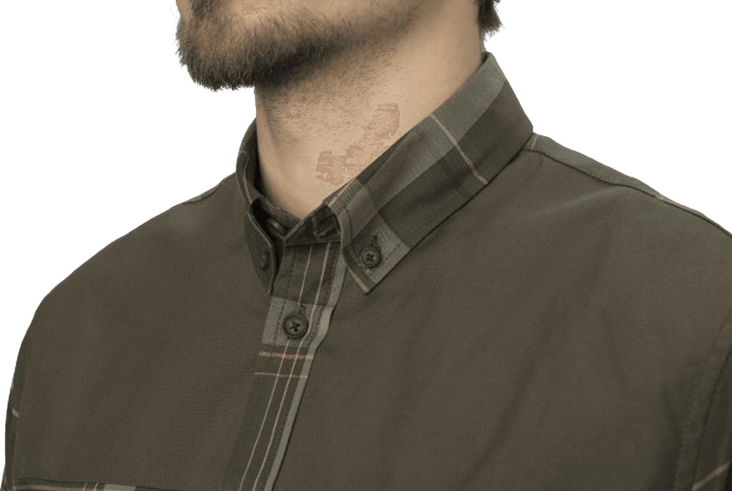 Anker L/S Shirt Willow Green, view: 3