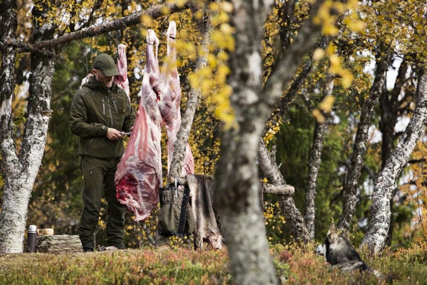 Norfell Jacket Willow Green, view: 2