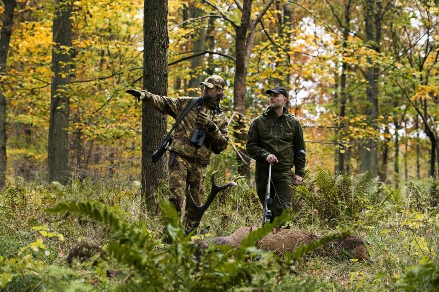 Norfell Jacket Willow Green, view: 8