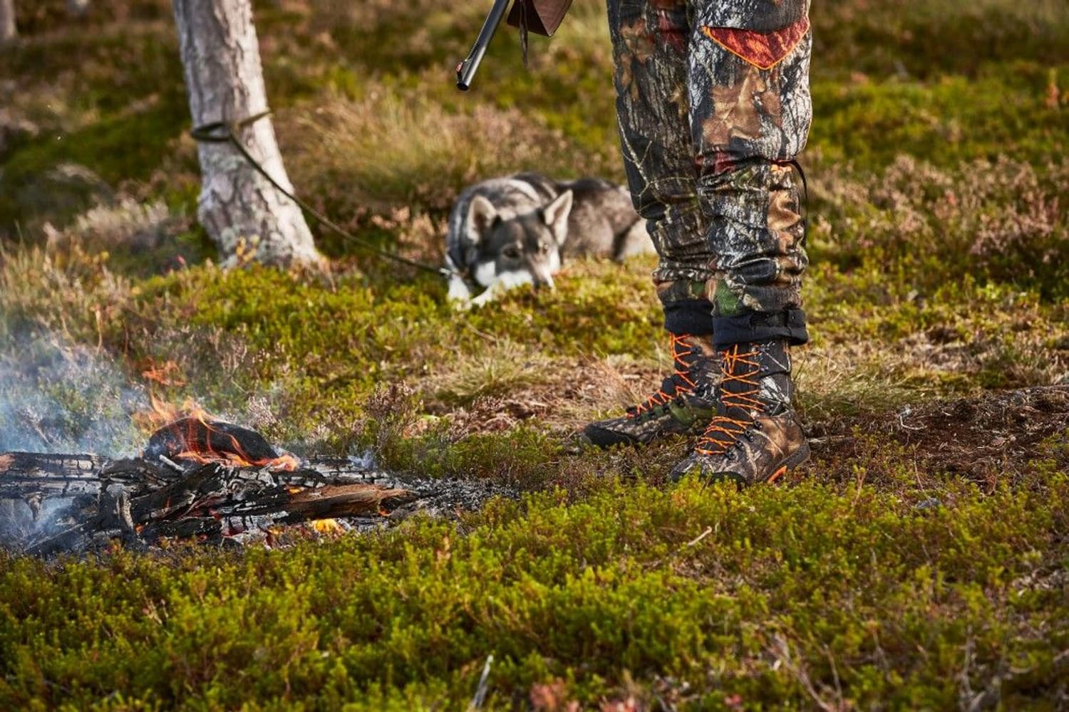 GTX 10'' Dog Keeper MossyOak New Break-Up/Blaze Orange, view: 3