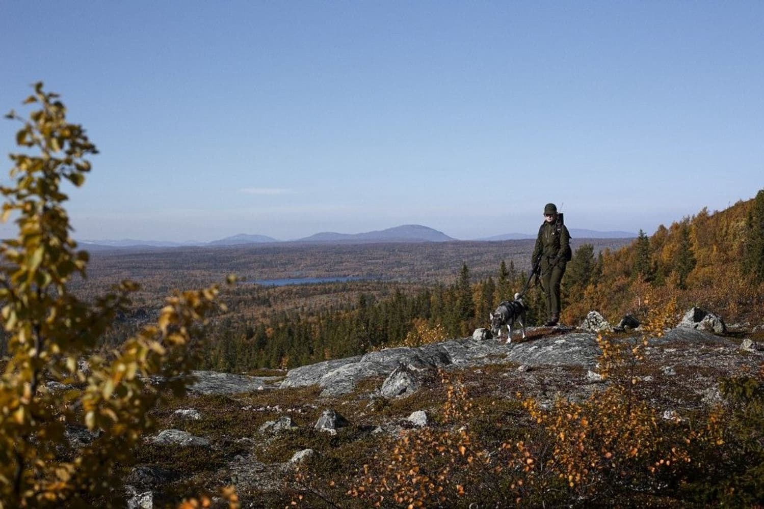 Freja Lady Jacket Willow Green, view: 3