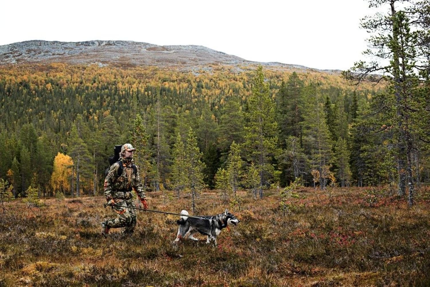 Moose Hunter Jacka MossyOak New Break-Up/Blaze Orange, view: 6