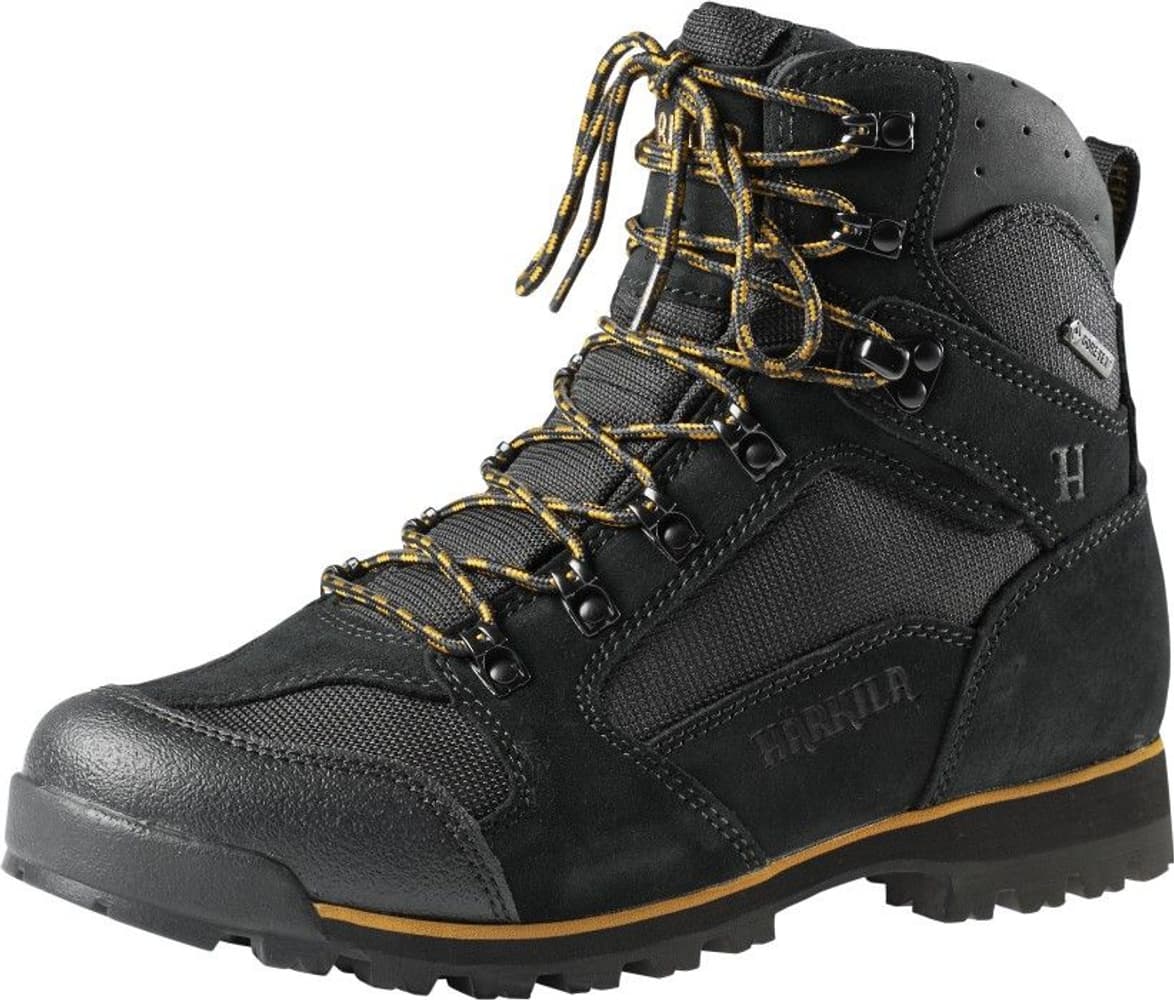 Backcountry II GTX 6'' Black/Bronze, view: 0
