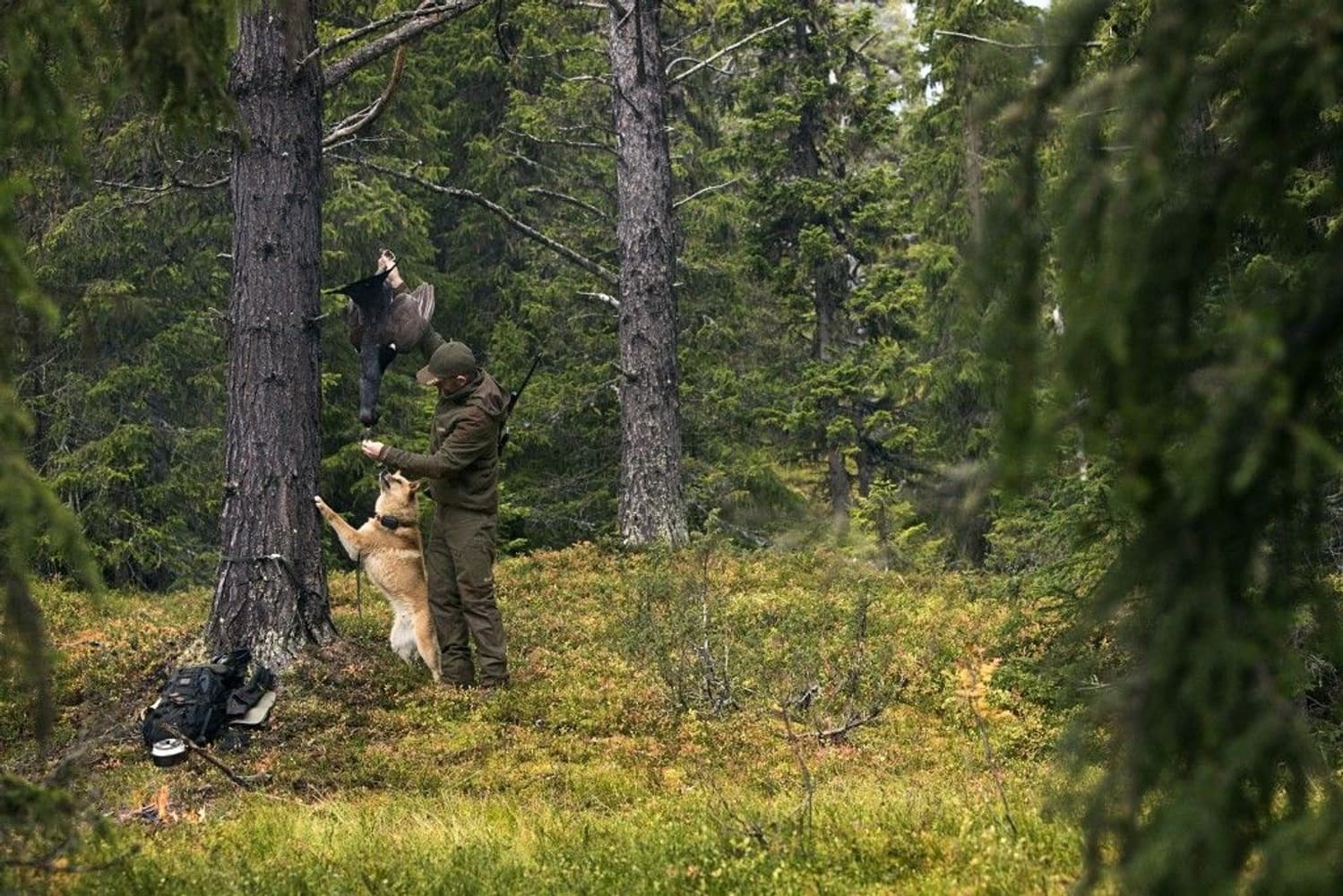 Metso Active Jacket Willow Green/Shadow Brown, view: 2