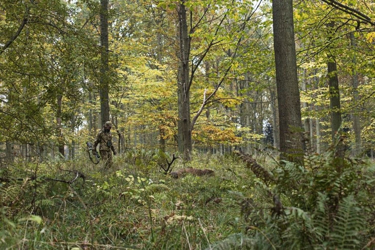 Lynx Jacket AXIS MSP® Forest Green, view: 2