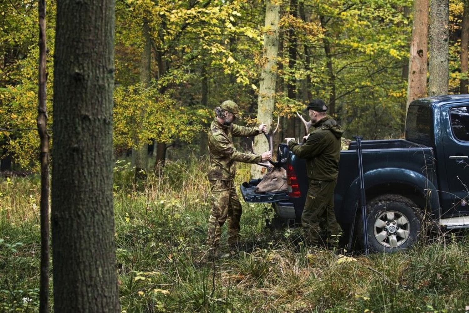 Lynx Jacket AXIS MSP® Forest Green, view: 7