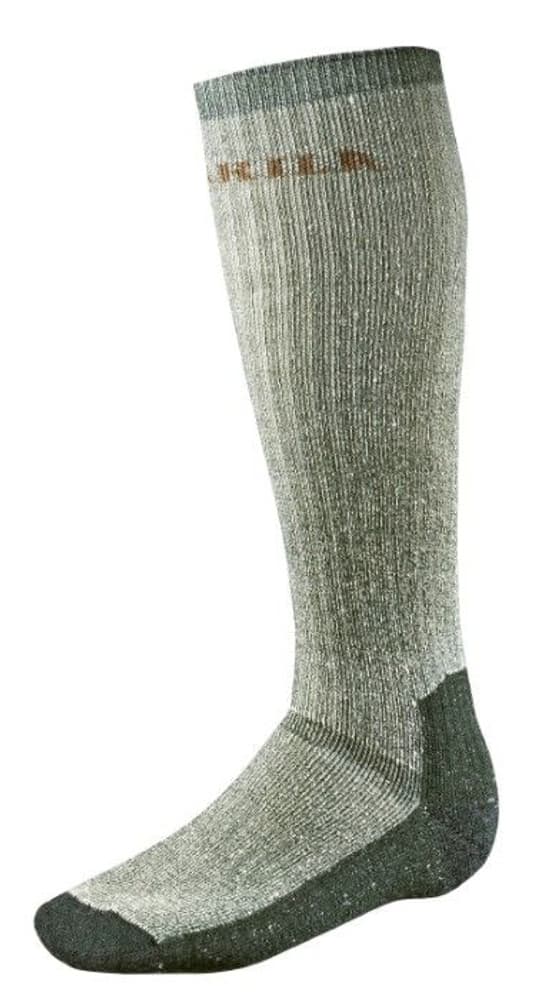 Expedition Long Sock Grey/Green, view: 1