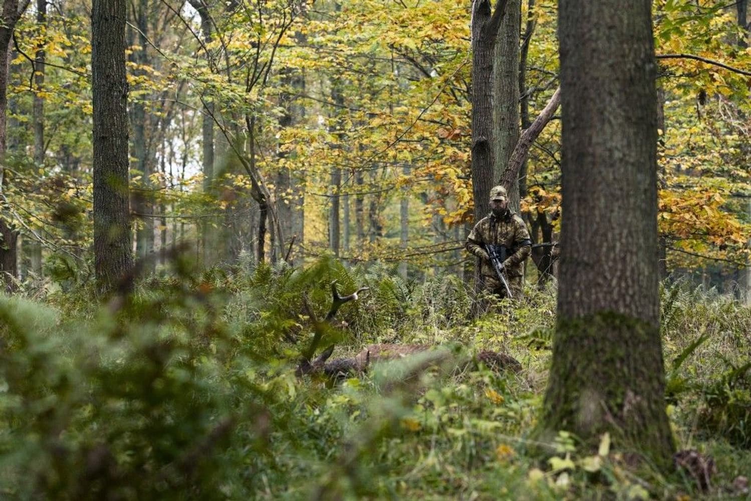 Lynx Trousers AXIS MSP® Forest Green, view: 4