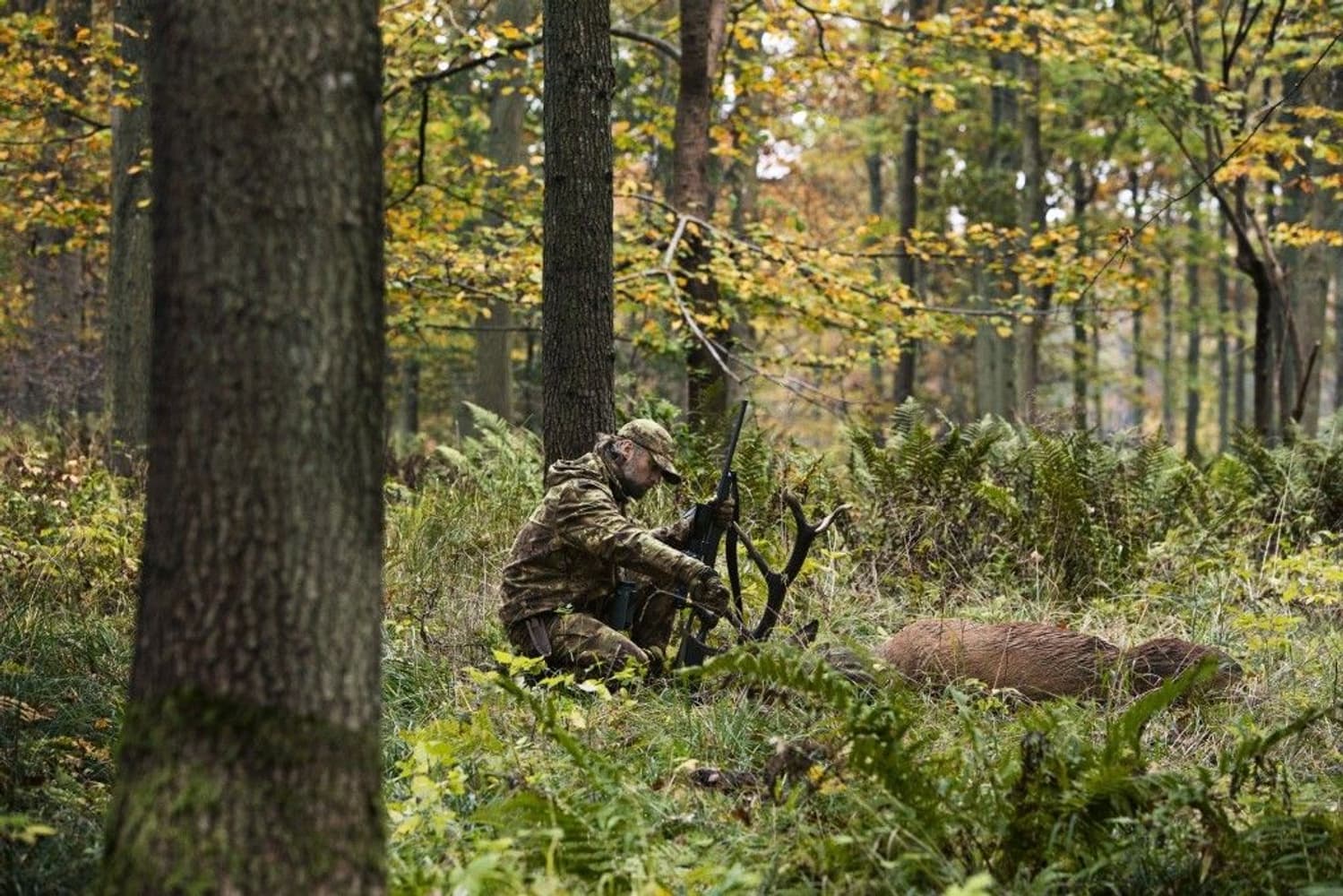 Lynx Trousers AXIS MSP® Forest Green, view: 5