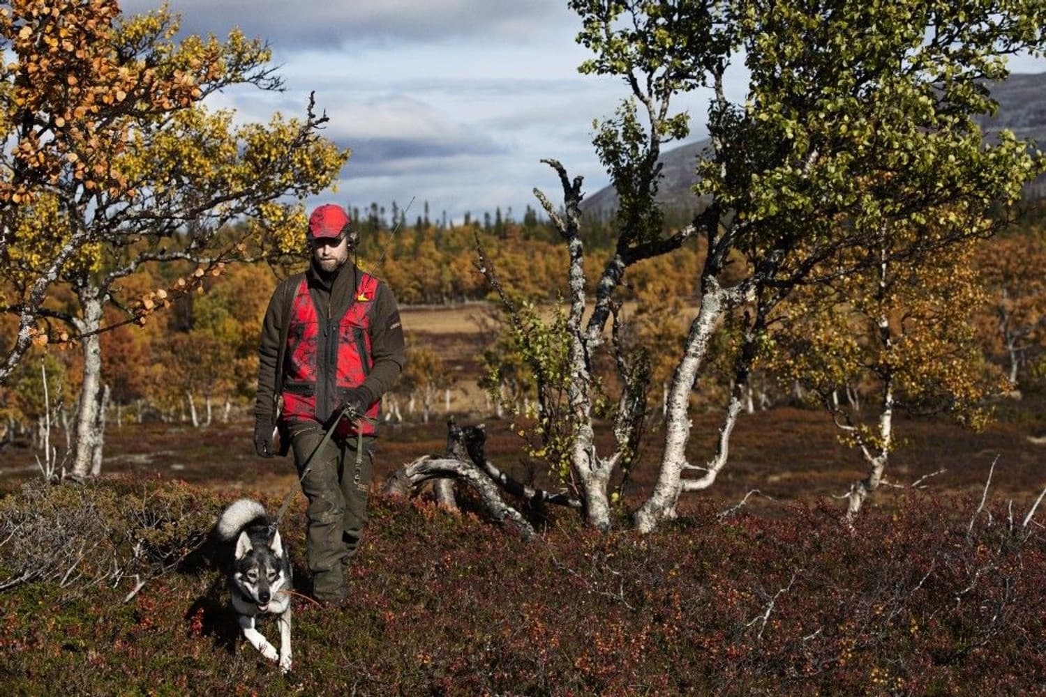 Lynx Safety Vest AXIS MSP® Red Blaze/Shadow Brown, view: 2