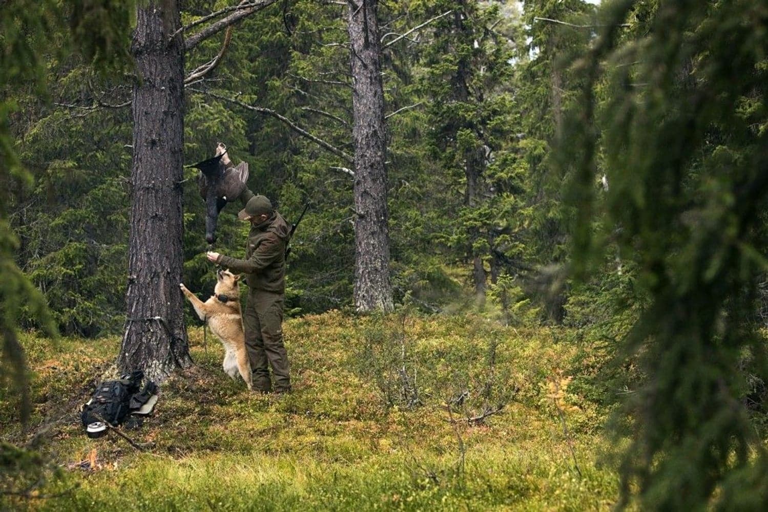 Kervo Jaktryggsäck med vapenhållare Hunting Green, view: 5