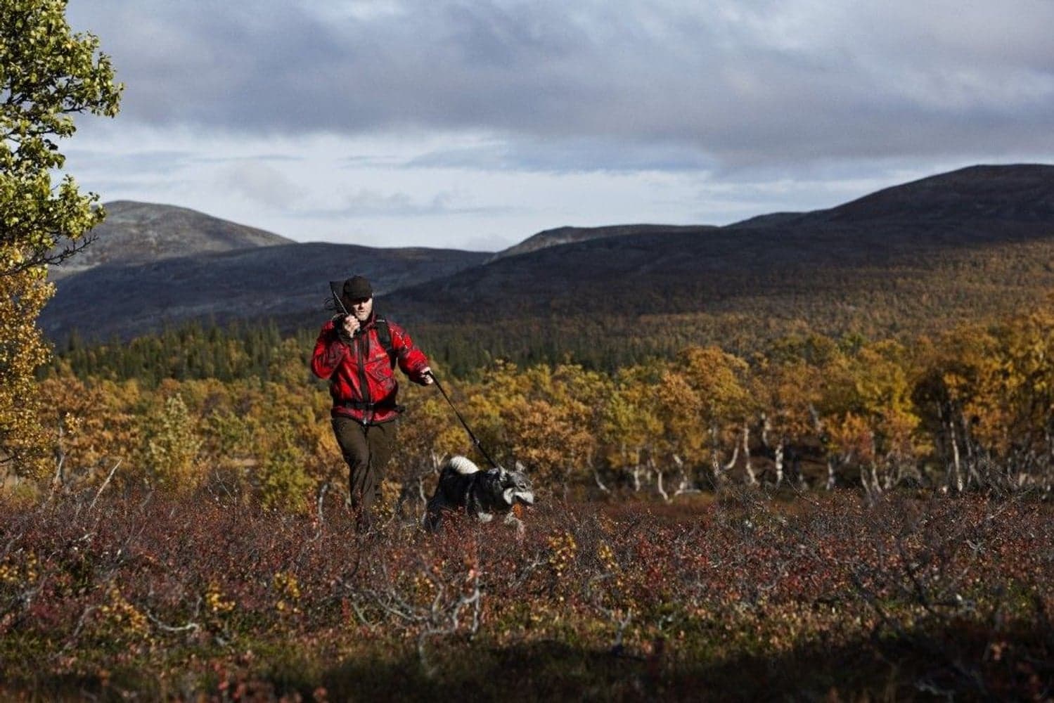 Lynx Reversible Windstopper Fleece Jacket AXIS MSP® Willow Green/AXIS MSP® Red Blaze, view: 4