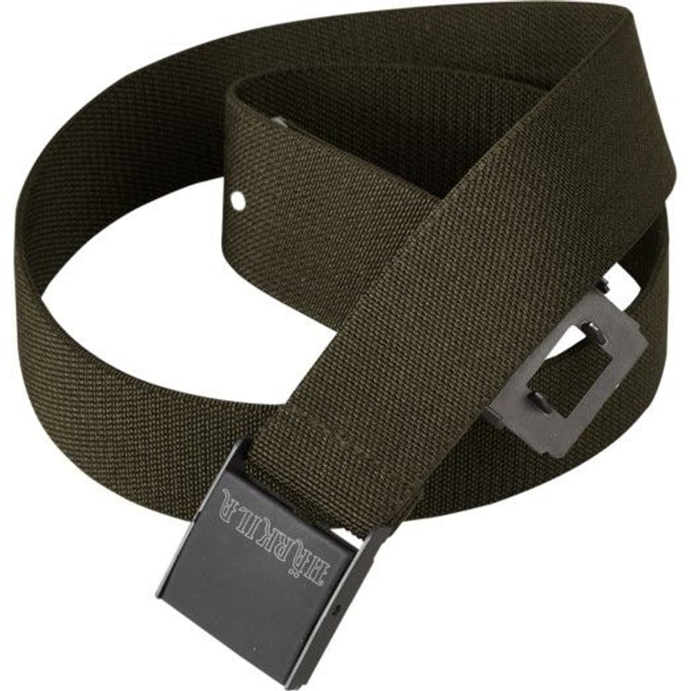 Flex Belt Green, view: 0