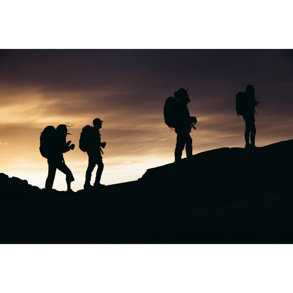 M's Stout 70L Plus Forest Black, view: 7