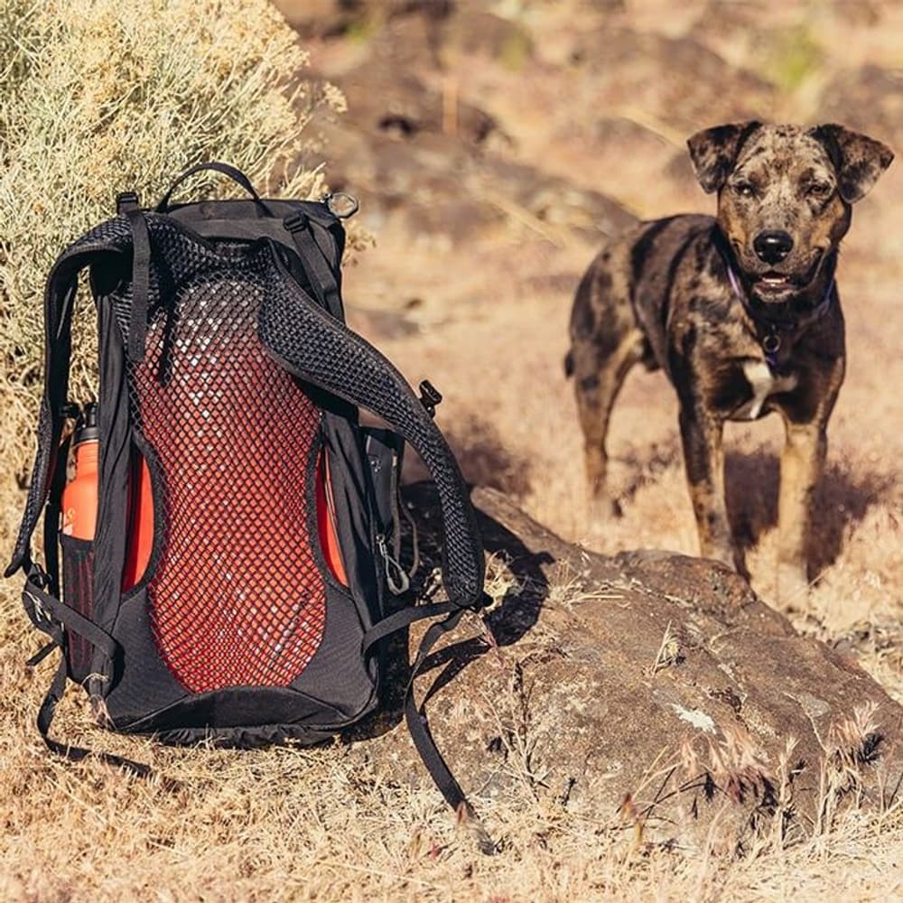 Arrio 18L RC Flame Black, view: 4