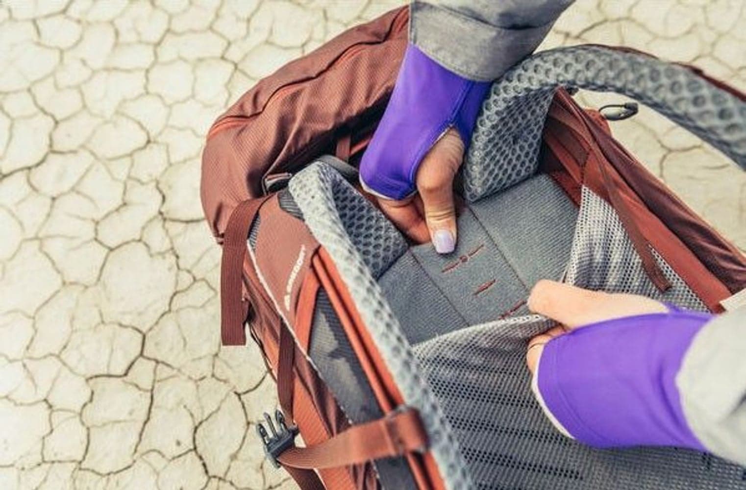 W's Maven 55L Rosewood Red, view: 3