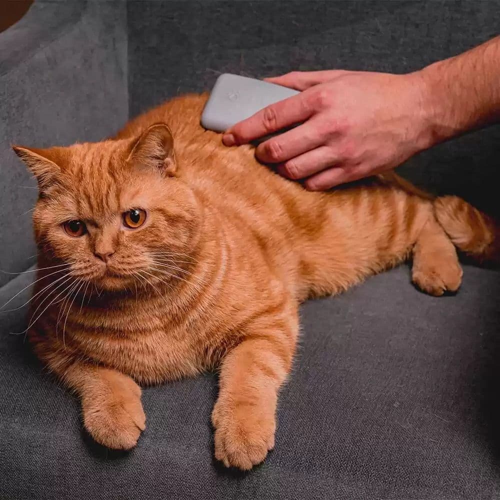 Massageborste, view: 2