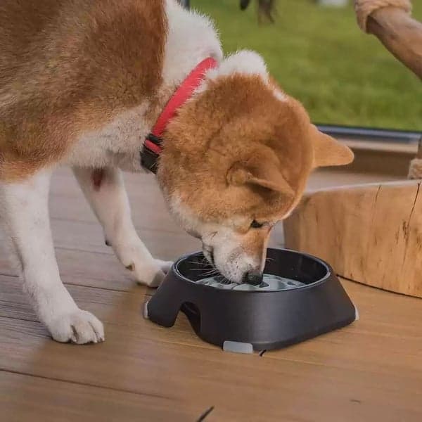 Fodermatta 15cm, view: 2