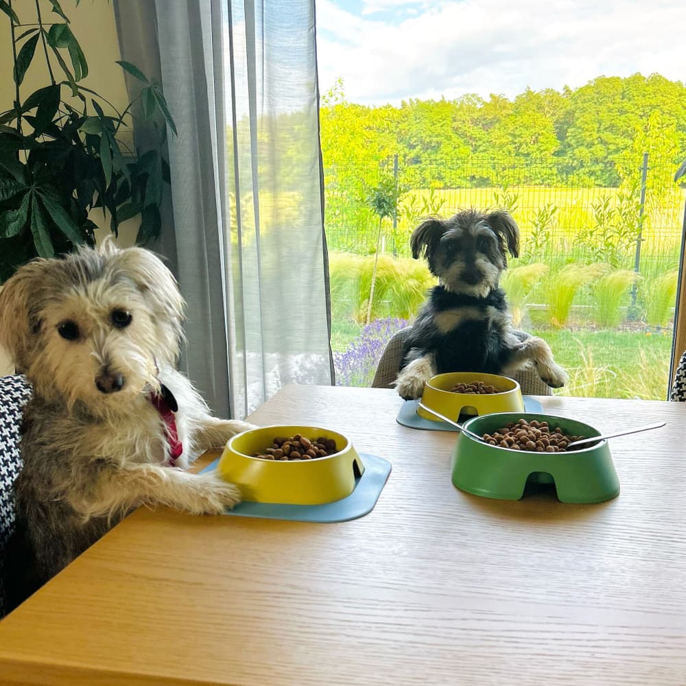 Hundskål M 400 ml Beige, view: 2