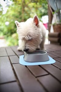 Hundskål M 400 ml Ljusgrå - view: 1