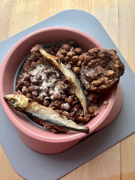 Hundskål L 700 ml Rosa, view: 2