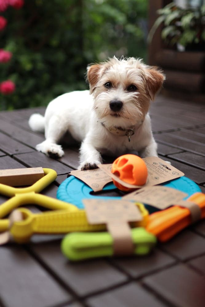 Leksaksben L 19 cm Gul, view: 5