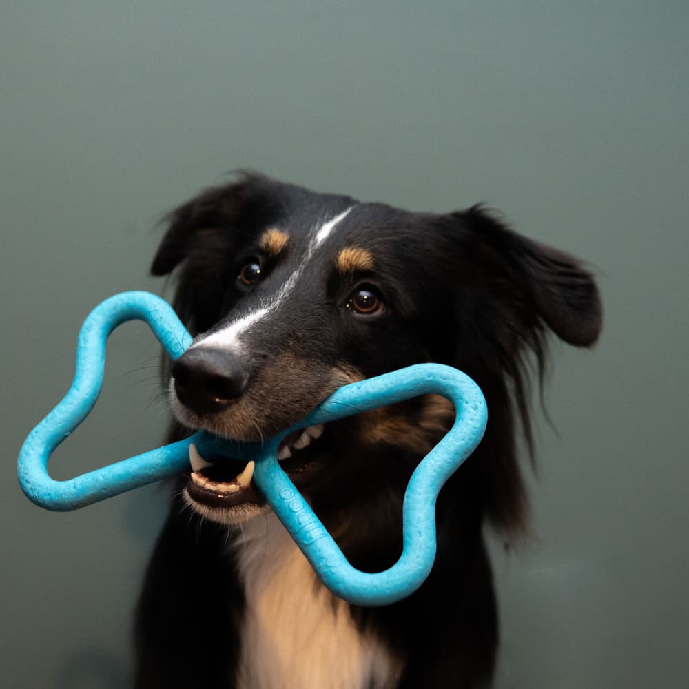 Dragkampsleksak Blå, view: 1