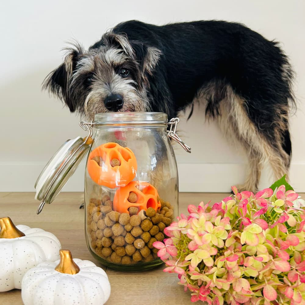 Aktiveringsboll Snacks Grön, view: 3