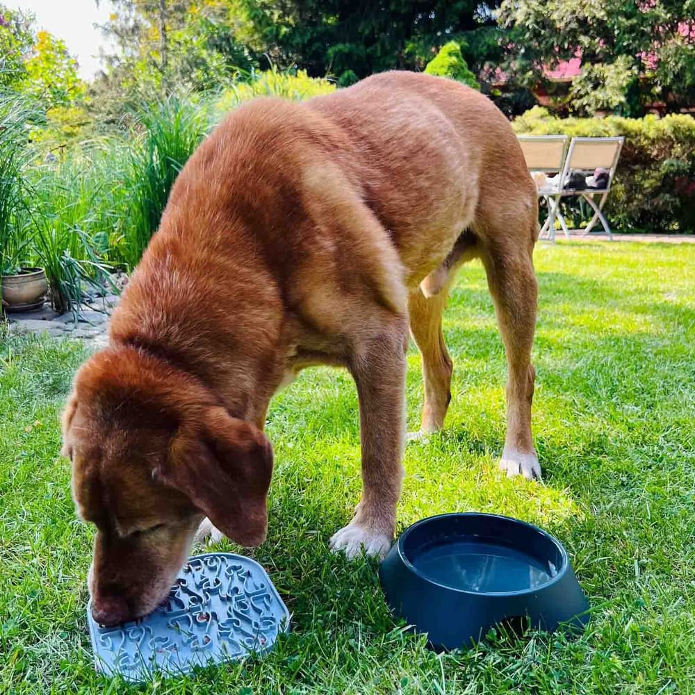 Lollipopp Slickmatta 19cm Beige, view: 4