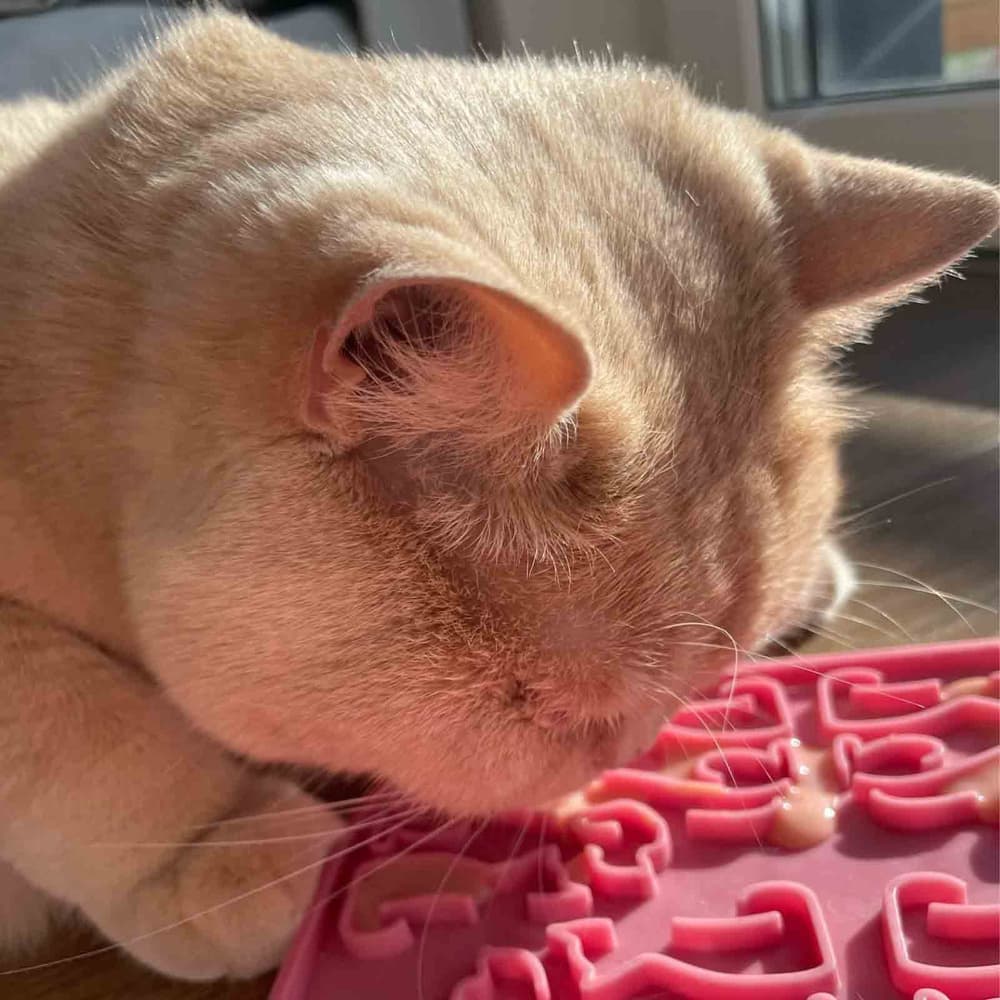 Lollipopp Slickmatta 19cm Rosa, view: 1