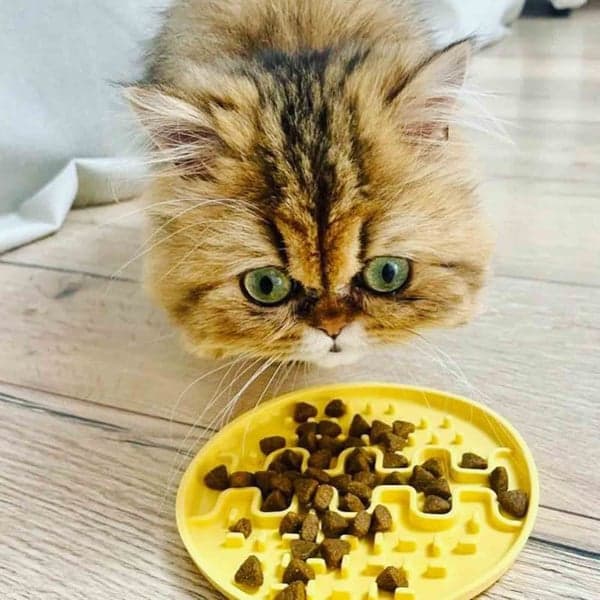 Lollipopp Slickmatta Mini 13cm Beige, view: 2