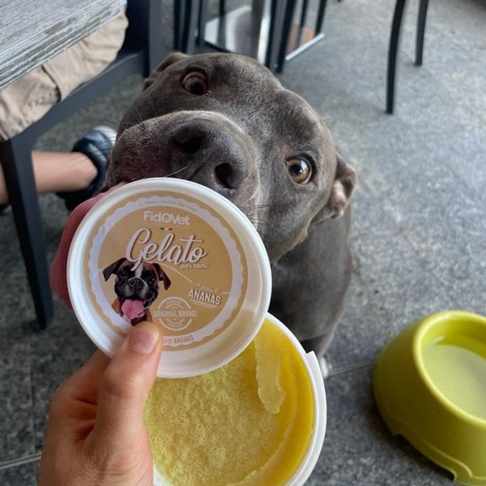 Hundglass Gelato Ananas 40 g, view: 2