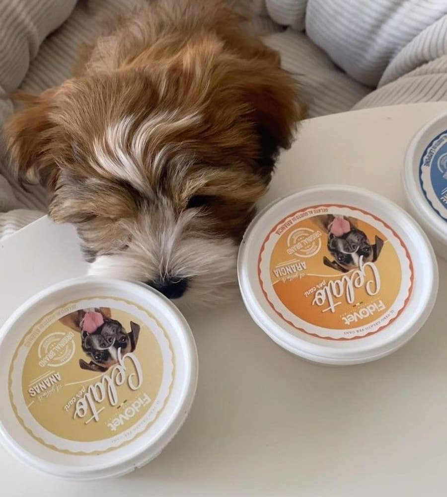 Hundglass Gelato Ananas 40 g, view: 3