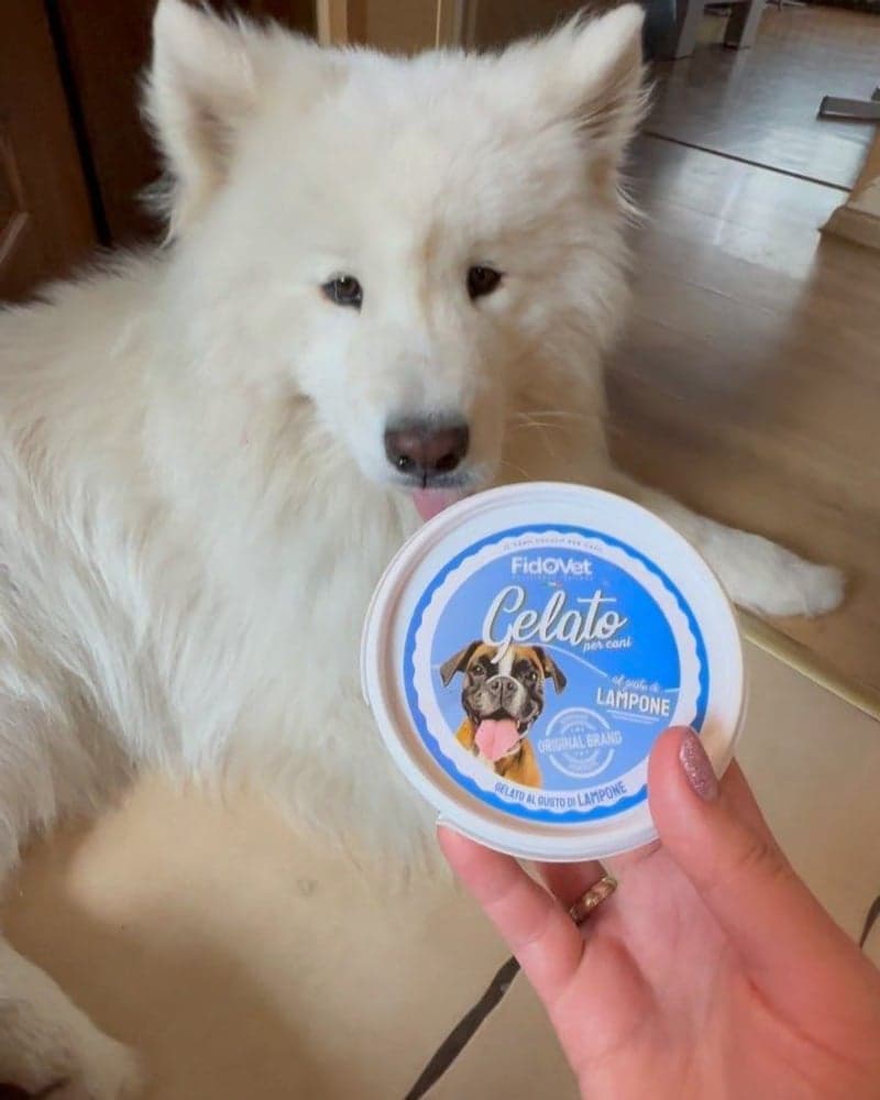 Hundglass Gelato Hallon 40 g, view: 2