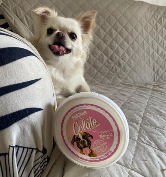 Hundglass Gelato Vanilj 40 g, view: 2