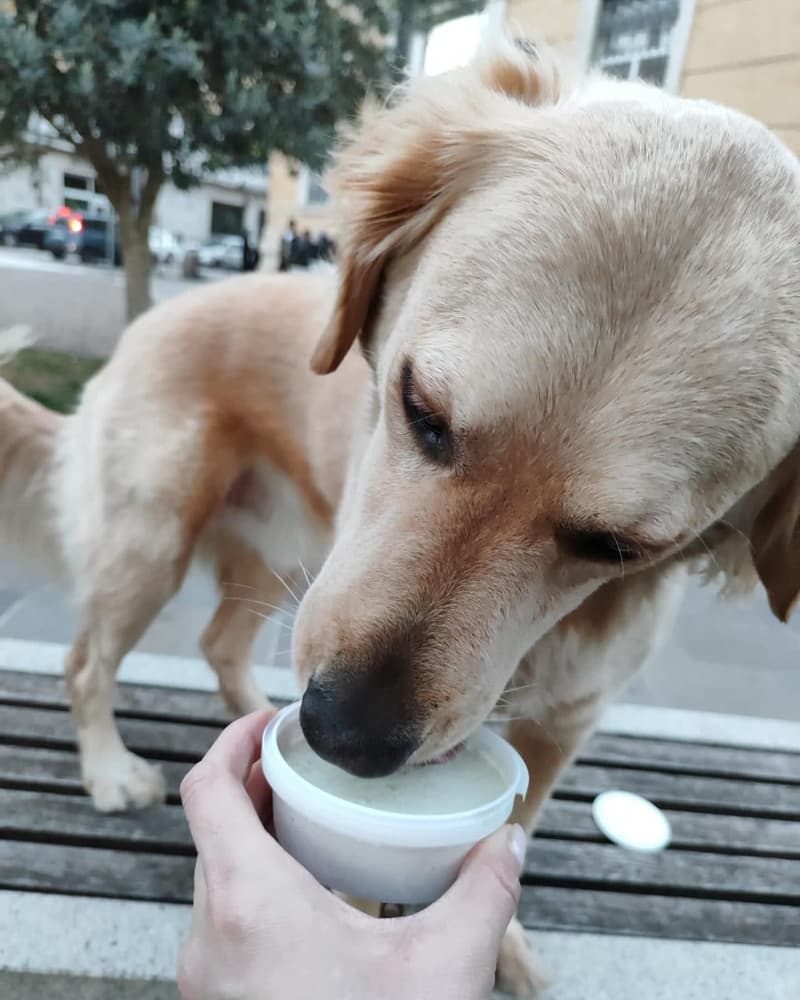 Hundglass Gelato Äpple 40 g, view: 2