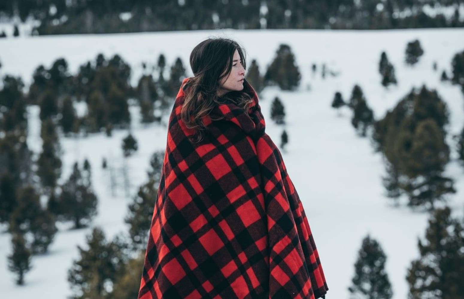 Mackinaw Blanket Red Black, view: 1