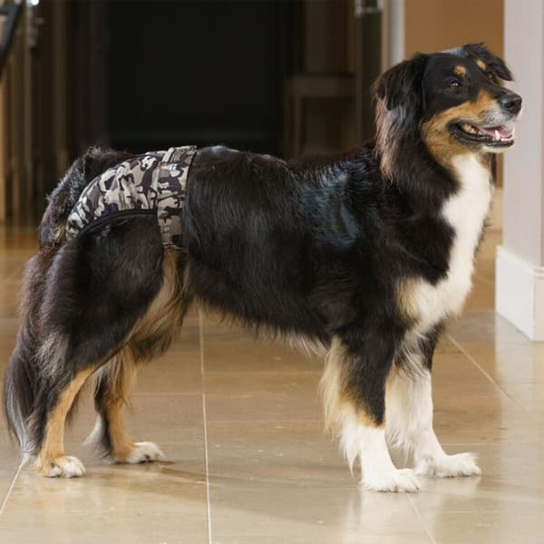 Tikskydd BRENDA Camo M-XL, view: 2