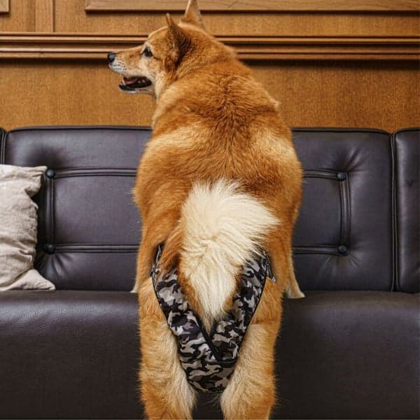 Tikskydd BRENDA Camo M-XL, view: 5