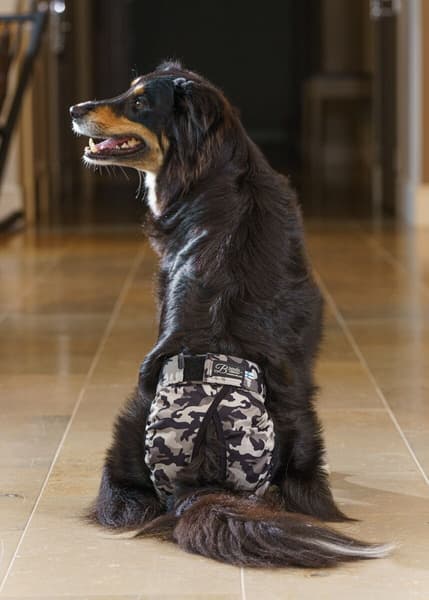 Tikskydd BRENDA Camo XS-S, view: 3