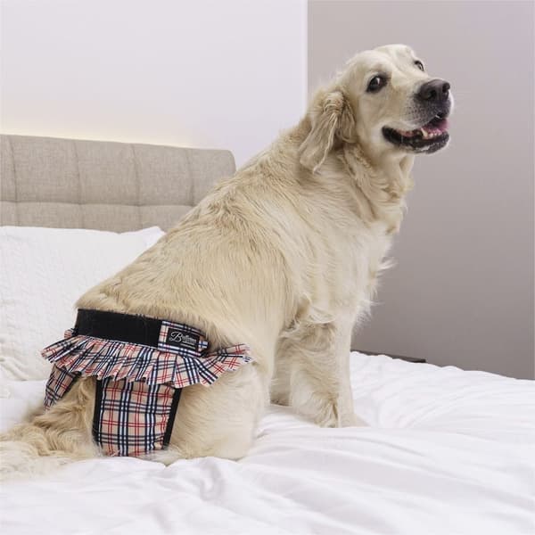 Tikskydd BALLERINA Beige S, view: 2