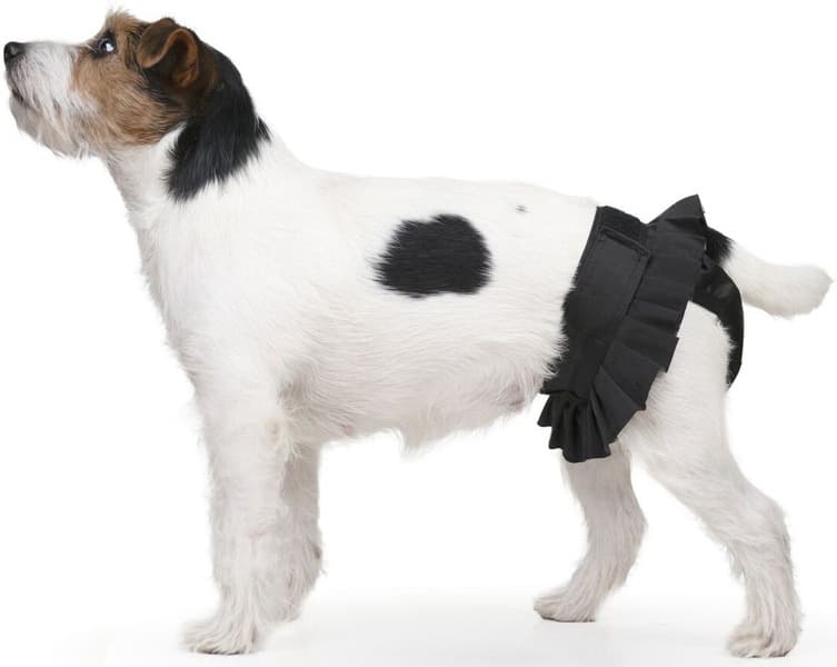 Tikskydd BALLERINA Svart L, view: 2