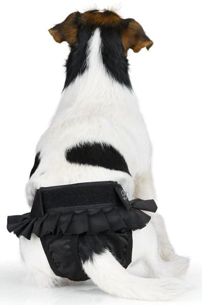 Tikskydd BALLERINA Svart L, view: 3