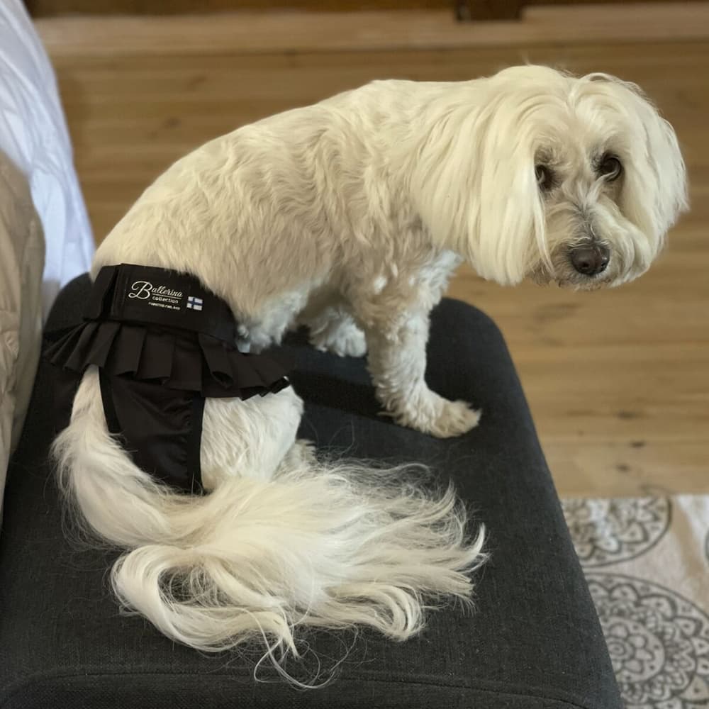 Tikskydd BALLERINA Svart XL, view: 5