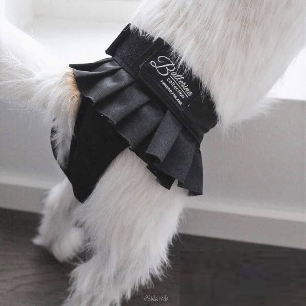 Tikskydd BALLERINA Svart XL, view: 4